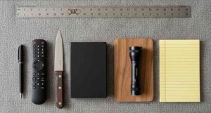 13 Surprisingly Common Things That Are 9.5 Inches Long