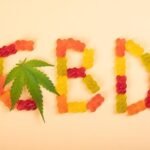 Elevate Your Everything With Envy Cbds Vegan Gummies