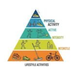 Where On The Physical Activity Pyramid Do Lifestyle Activities Belong