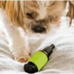 How To Use CBD Tincture