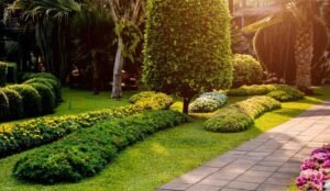 Boost Your Home’s Value Through Thoughtful Landscaping