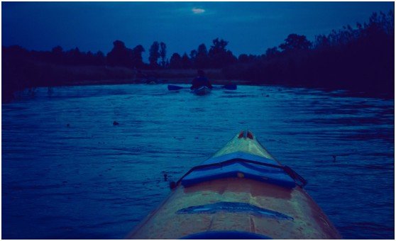 Guided Tours Versus Independent Night Kayaking